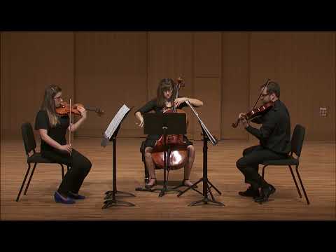 Jonathan Harvey — String Trio (2004)