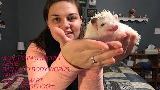 Victoria's Secret, Aerie, BBW, Target and Walmart Haul Feat a Hedgehog