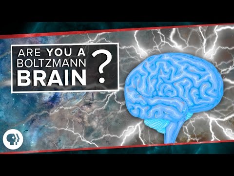 Are You a Boltzmann Brain? | Space Time
