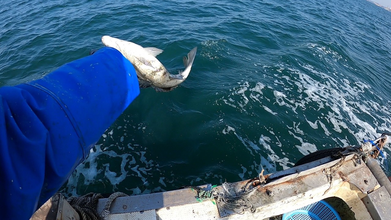 暖かい日の中潮、期待して出漁したのに…？