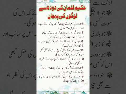 Hakeem Luqman Quotes ~ Beautiful Words Urdu Information Hakeem Luqman Viral Golden Words #trueline