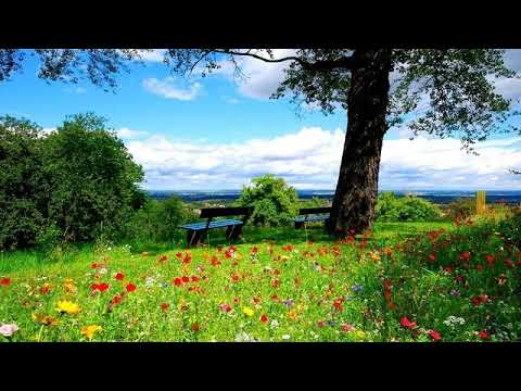 Din El, prin El și pentru El - video