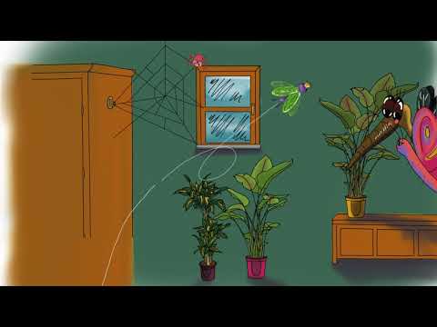 De spin en de vlieg ( groep 1/2 )