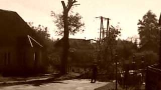 preview picture of video 'Wycinka Drzew Wielkie Leźno2'