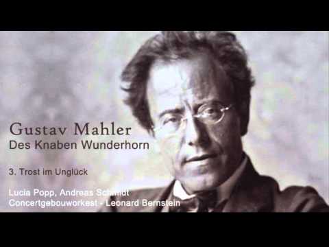 Mahler, Des Knaben Wunderhorn - 3. Trost im Unglück.wmv