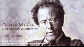 Mahler, Des Knaben Wunderhorn - 3. Trost im Unglück.wmv