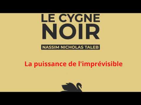 Le Cygne noir. La puissance de l'imprévisible. Livre audio - PARTIE II