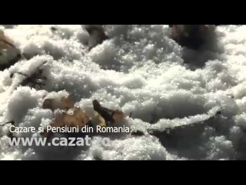 Cazare George Cosbuc, Botosani - Cazat.ro