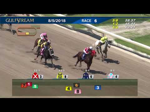 Resumen Gulfstream Park - 5 de Agosto 2018