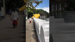 Download lagu Beautiful Kandy Lake #shoets #srilanka #beautiful mp3