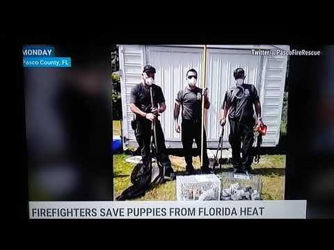 Stephanie Abrams of the Weather Channel Thinks Firefighters Are Hot!