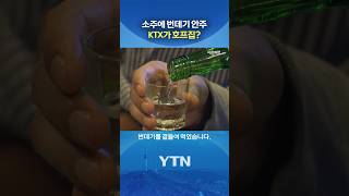 승무원이 말려도 '건배' #shorts / YTN