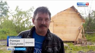На одной из красноборских ферм появился лосёнок Вася