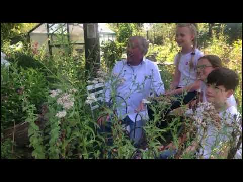 Kostprobe für das Video zu unserem Song "Mein Garten ist mein Paradies!"