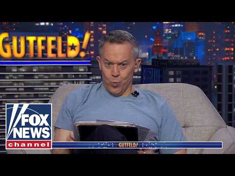 'Gutfeld!': What's the latest word over Kelly's war with a bird?