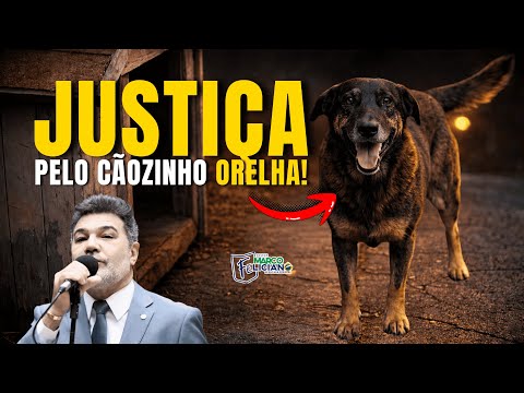Justiça pelo cãozinho Orelha | Deputado Federal Pastor Marco Feliciano