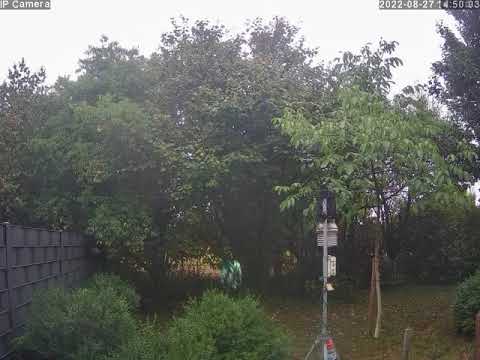 2022-08-27 Webcam II