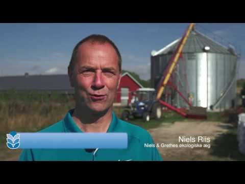 DANCORN Silo, Getreidesilo - Niels og Grethe Riis - Deutsche Sprache