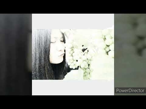 First time in Croatia 😍😍😍