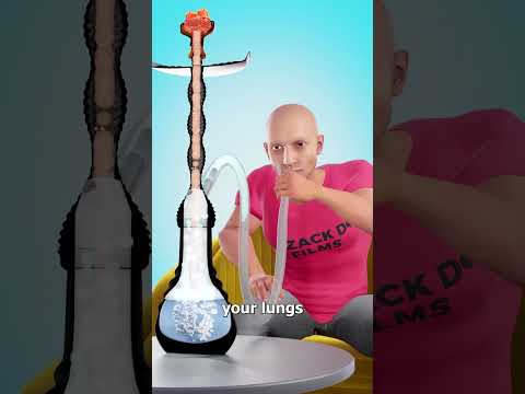 How A Hookah Works 🤔