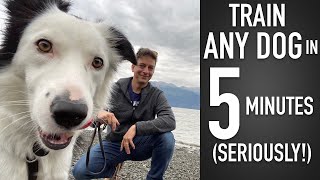 four Methods to Practice ANY Canine in 5 Minutes!