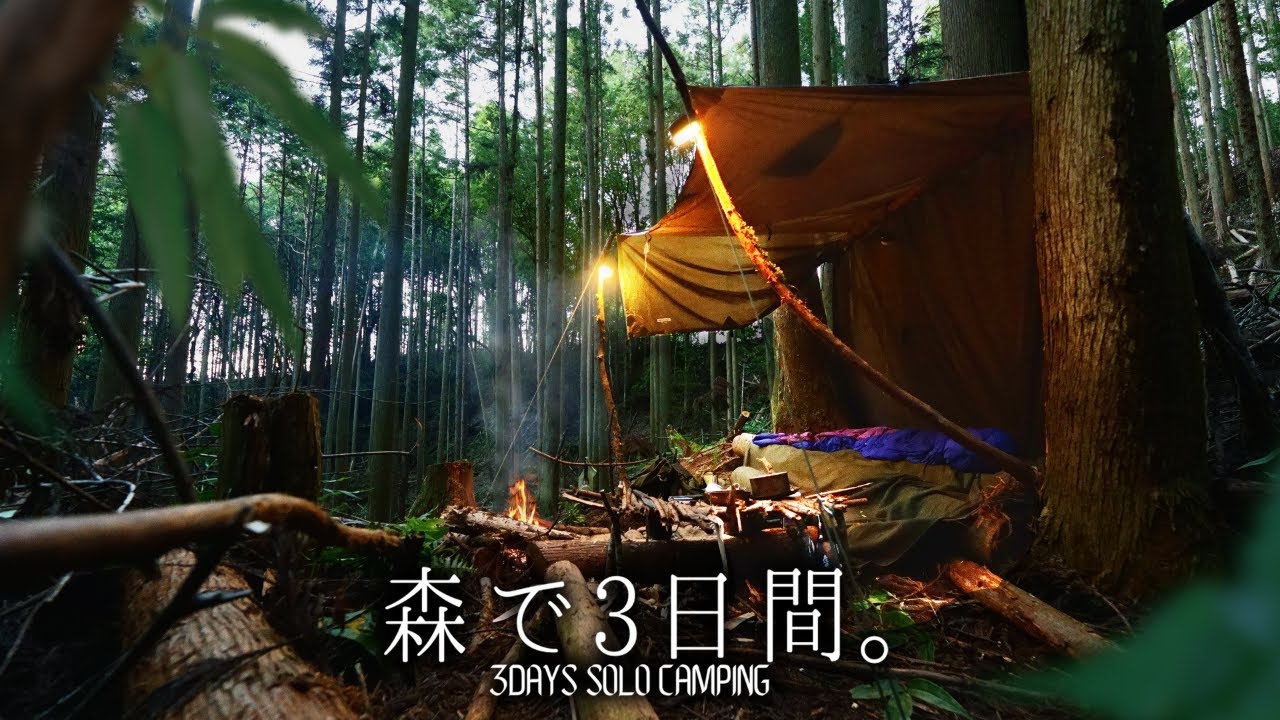 【ブッシュクラフト】宵に沈む夏の森──短夜に羽化する夏蝉と、タープで営む森の宿