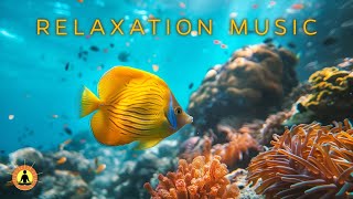 Relaxing Ocean Aquarium: Calming Music, Meditation Music, Deep Sleeping Music, Study Music