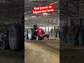 Just floating the front tires on this farmall #tractorpulling #farmall #antique #tractor #shorts