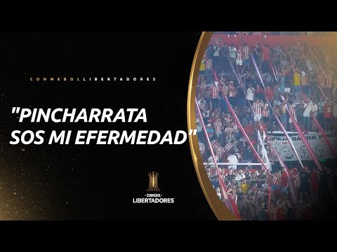 "La hinchada de Estudiantes canta: "Pincharrata sos mi efermedad"" Barra: Los Leales &bull; Club: Estudiantes de La Plata