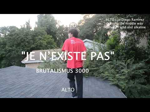 BRUTALISMUS 3000- JE N' EXISTE (LYRICS)
