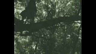 Gruf The Druid - Winning The Race