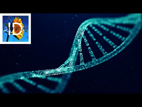 How the Myth of Junk DNA Hindered Science