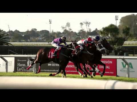 220522 c07 GRAN DANCER