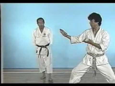 Enpi (Kata & Bunkai)