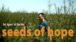 Thumbnail: Igor - Moldovan farmers plant seeds of hope