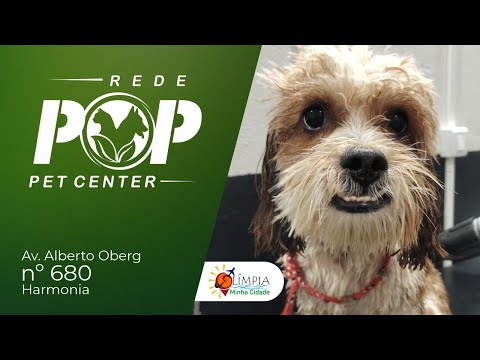 Rede Pop Pet Center Olímpia: Novo Endereço, Mesmo Compromisso com Seu Pet!