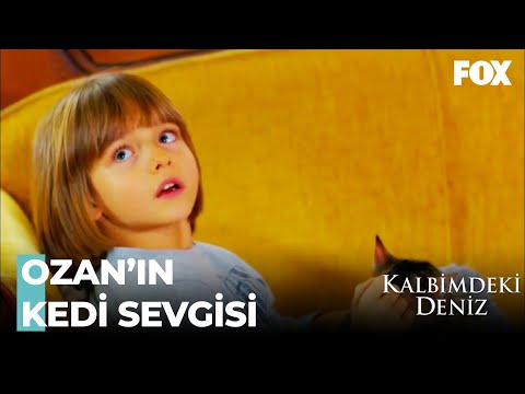 Ozan Kedisini Diyar Gibi Seviyor - Kalbimdeki Deniz 19. Bölüm