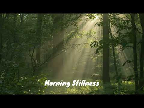 Morning Stillness_새벽이 깨어나는 순간, 마음이 고요해지는 명상 음악