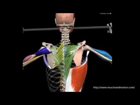 Zervikale Osteochondrose Erkältungen Und die Ursache für Rückenschmerzen in der Bauchspeicheldrüse