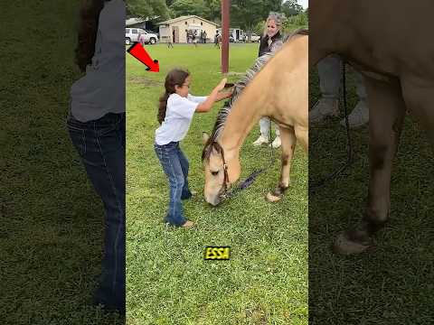 Ela não queria nenhuma ajuda! 😧🐴