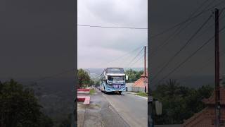 Download lagu Konvoi Bus Study Tour #bus #busmaniacomunity #buspariwisata #strobobus #teloletbasuri mp3