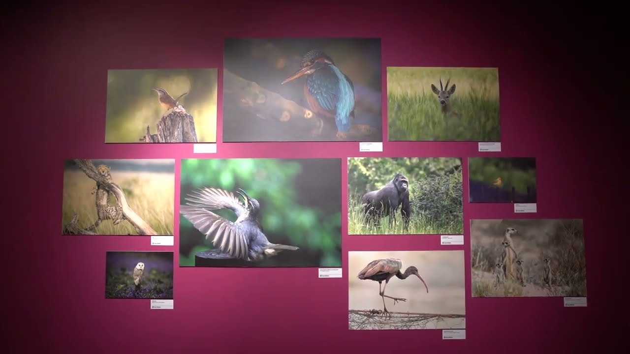 Experience a snapshot of creativity pulses at Modeka Creative Space.