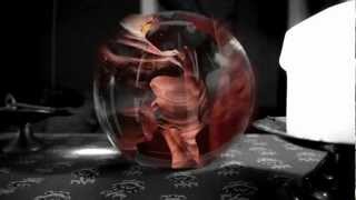 The Force That Through The Green Fuse Drives The Flower (Interpretation)