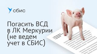 Как погасить ВСД без учета в СБИС