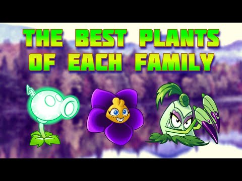 The BEST Plant of Every Family | Plants VS Zombies 2