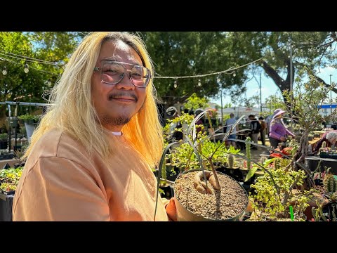 Ich war auf einem Kaktusfest in Los Angeles!