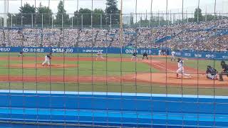 東京ヤクルトスワローズ 捕手汎用テーマ