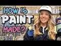 How Is PAINT Made Maddie Moate