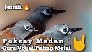 Download lagu Poksay Medan Gacor Guru Vokal Paling Metal.Masteran POKSAY mantel paling berisik mp3 Download lagu Poksay Medan Gacor Guru Vokal Paling Metal.Masteran POKSAY mantel paling berisik mp3