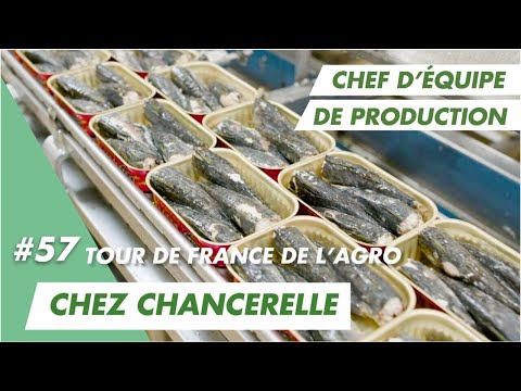 At Chancerelle in Douarnenez, I can the sardines, and so does my team leader, Laetitia.